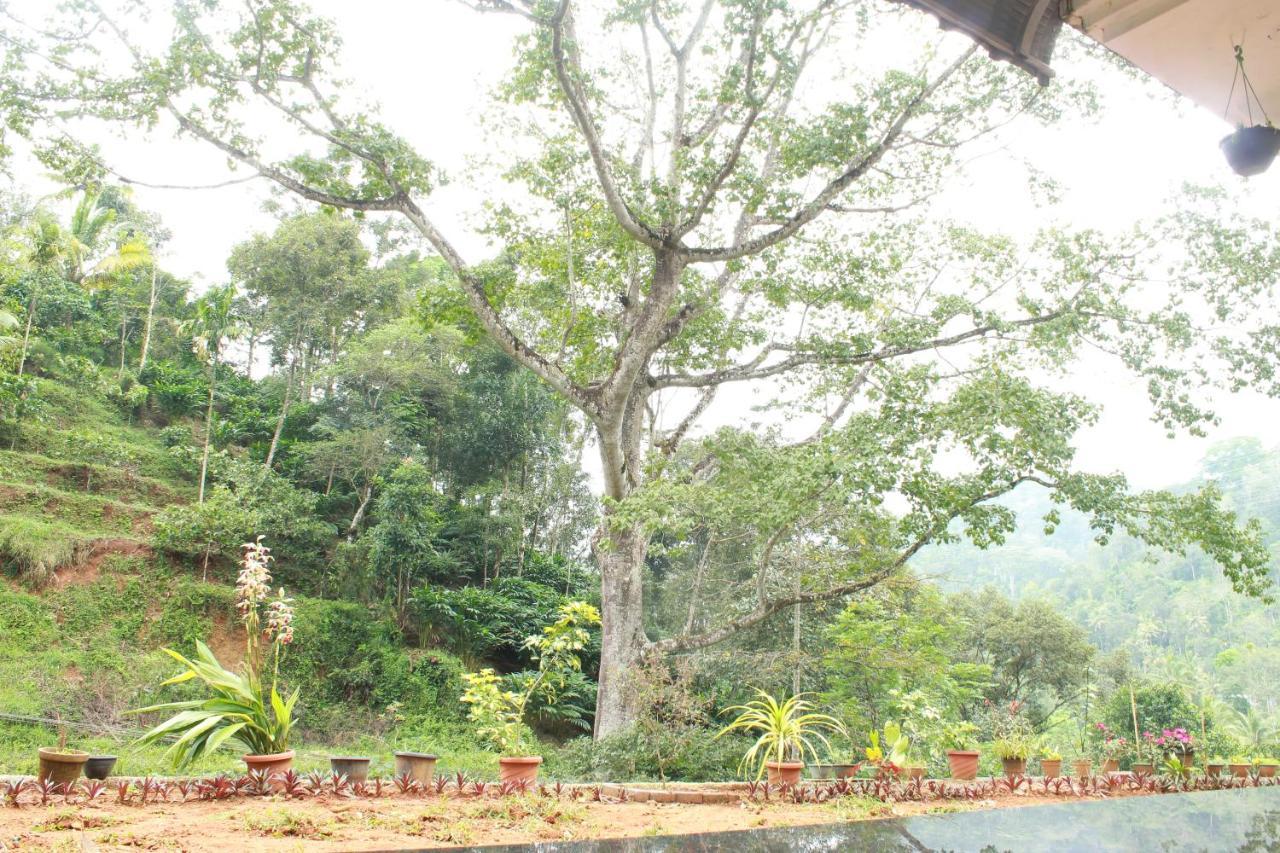 The Mountcourt Hotel Munnar Bagian luar foto